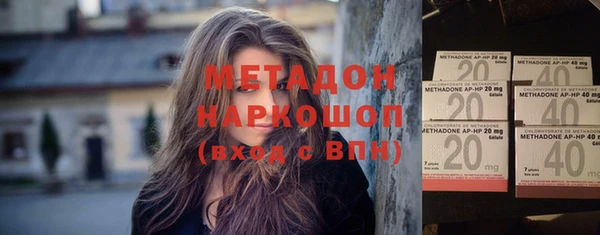 индика Алексин