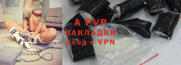 индика Алексин