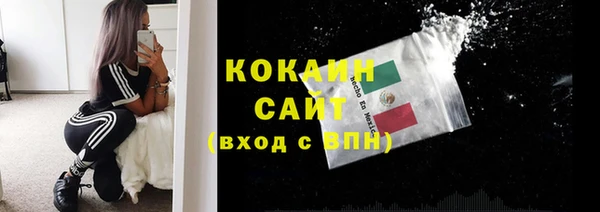 индика Алексин