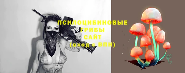 дурь Россошь