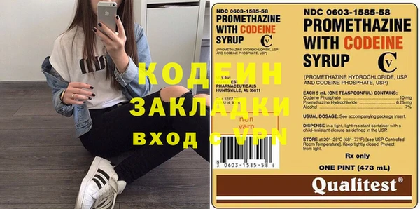 индика Алексин