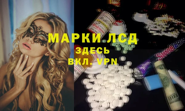 индика Алексин