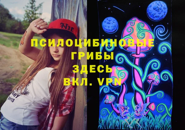 индика Алексин