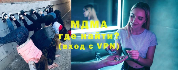 индика Алексин