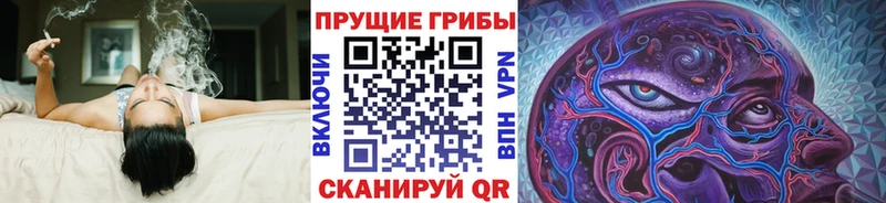 OMG вход  Узловая  Псилоцибиновые грибы Psilocybe 