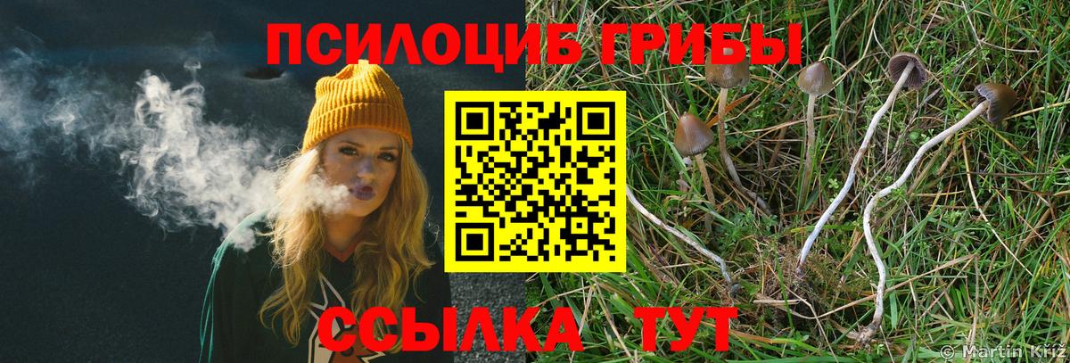 Галлюциногенные грибы мухоморы  Вход с VPN  Узловая 