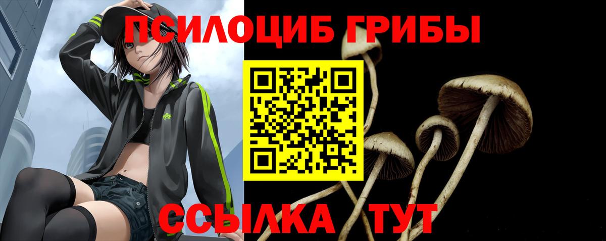 Псилоцибиновые грибы Psilocybine cubensis Узловая